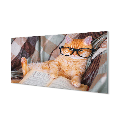 Acrylic print The reader cat