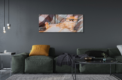 Acrylic print The reader cat