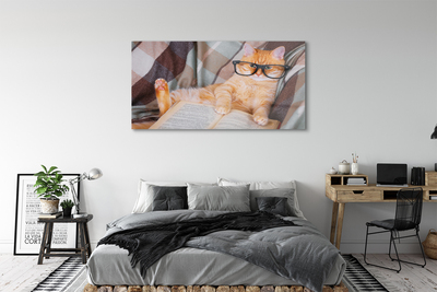 Acrylic print The reader cat