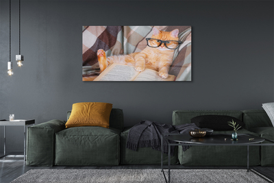 Acrylic print The reader cat