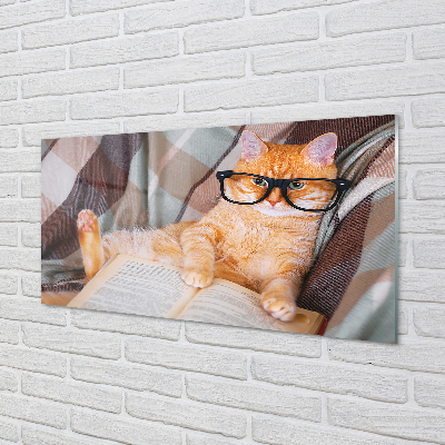 Acrylic print The reader cat