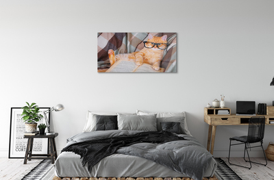 Acrylic print The reader cat