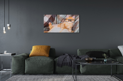 Acrylic print The reader cat