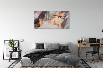 Acrylic print The reader cat