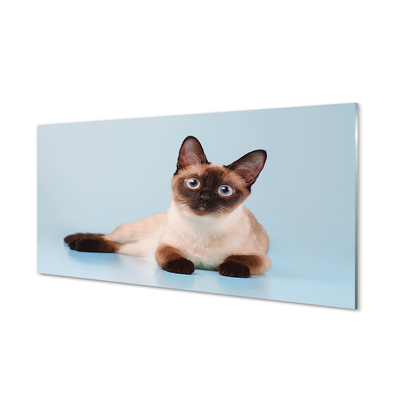 Acrylic print Cat lying