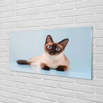 Acrylic print Cat lying