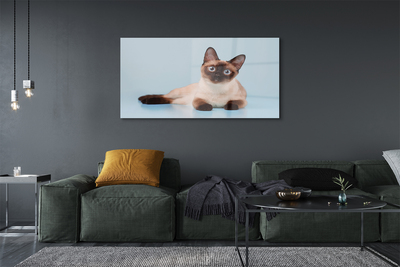 Acrylic print Cat lying