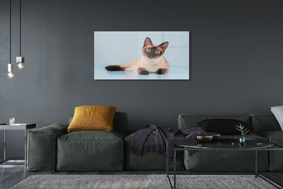 Acrylic print Cat lying