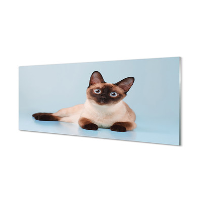 Acrylic print Cat lying