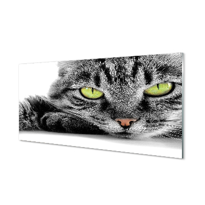 Acrylic print Gray-black cat