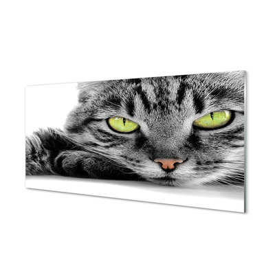 Acrylic print Gray-black cat