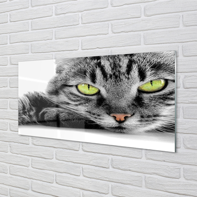 Acrylic print Gray-black cat