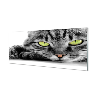 Acrylic print Gray-black cat