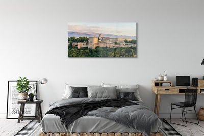 Acrylic print Spain castle mountain forest