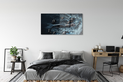 Acrylic print Siren of the sea