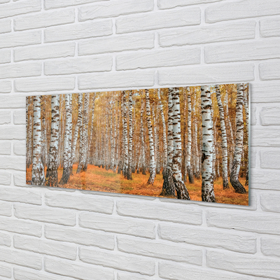 Acrylic print Fall trees