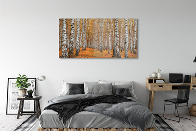 Acrylic print Fall trees