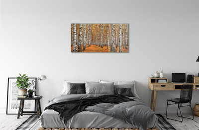 Acrylic print Fall trees