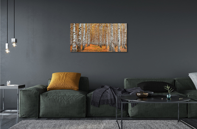 Acrylic print Fall trees