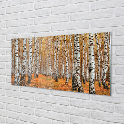 Acrylic print Fall trees