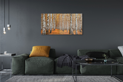 Acrylic print Fall trees