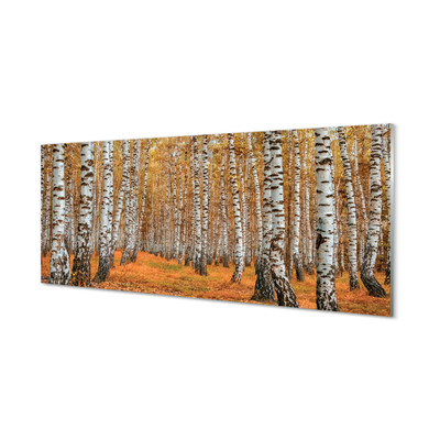 Acrylic print Fall trees