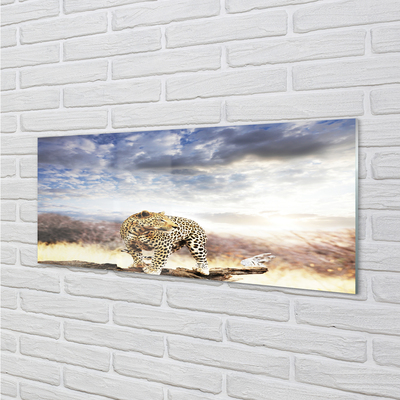 Acrylic print Panther clouds