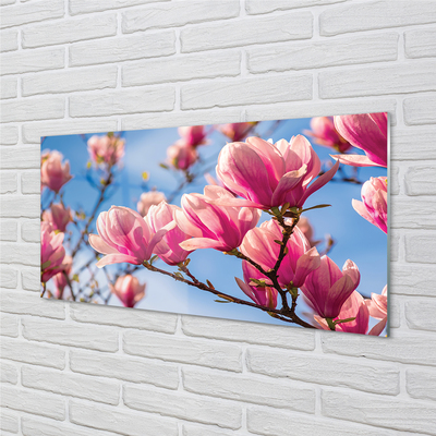 Acrylic print Flowering trees