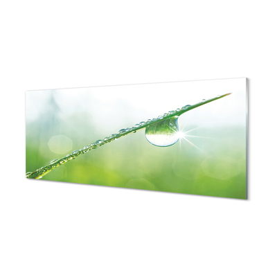 Acrylic print Grass macro drops
