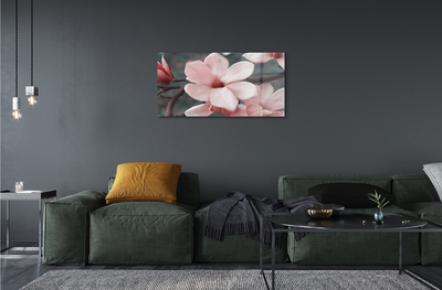 Acrylic print Pink flowers