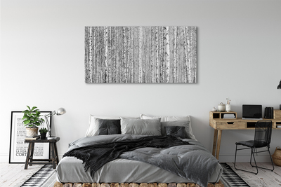 Acrylic print Black and white forest