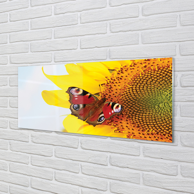Acrylic print Sunflower moth