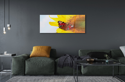 Acrylic print Sunflower moth