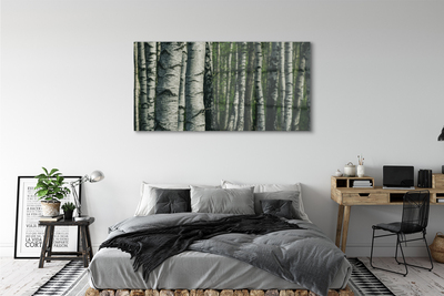 Acrylic print Birch forest