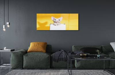 Acrylic print Cat seat