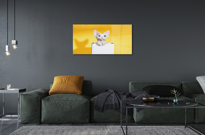 Acrylic print Cat seat