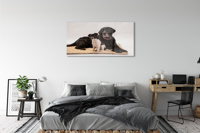 Acrylic print Coated dogs