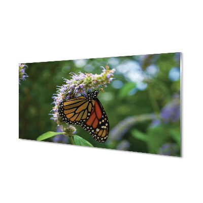 Acrylic print Butterfly colored flowers