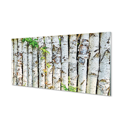 Acrylic print Birch leaves