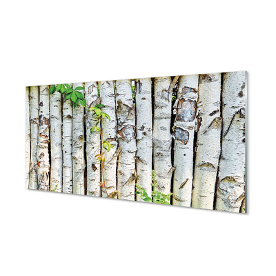 Acrylic print Birch leaves