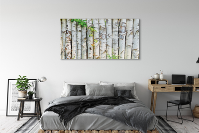 Acrylic print Birch leaves