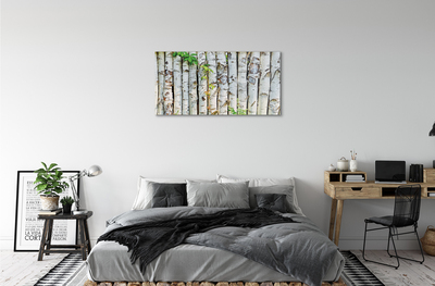 Acrylic print Birch leaves