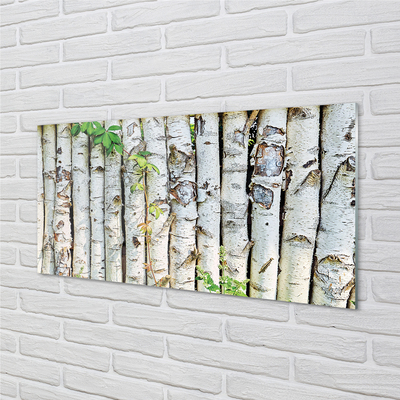 Acrylic print Birch leaves