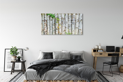 Acrylic print Birch leaves