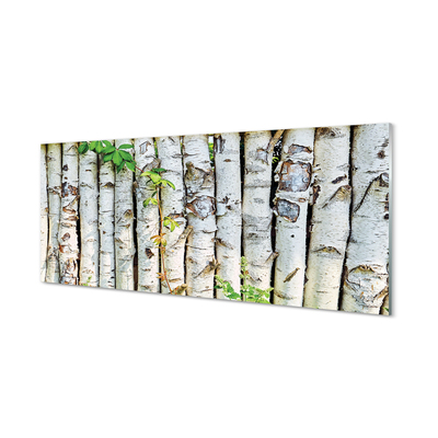 Acrylic print Birch leaves