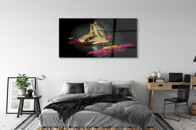Acrylic print Butterfly on flower