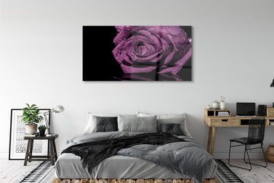 Acrylic print Pink purple