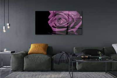 Acrylic print Pink purple