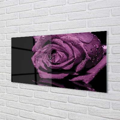 Acrylic print Pink purple