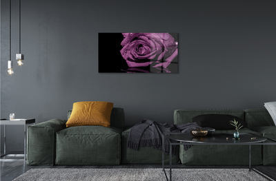 Acrylic print Pink purple